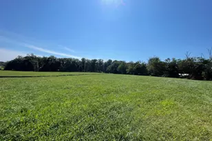 Cabbage Spring, Mount Airy, MD 21771 - Photo 11