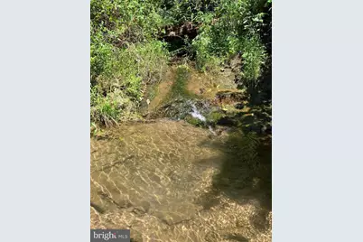 Coon Club, Hampstead, MD 21074 - Photo 83