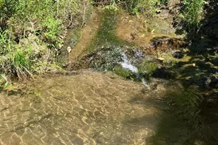 Coon Club, Hampstead, MD 21074 - Photo 83