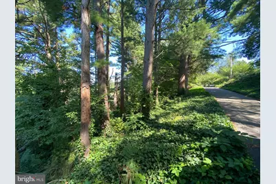 Coon Club, Hampstead, MD 21074 - Photo 73