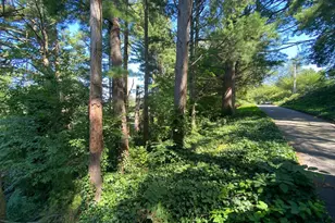 Coon Club, Hampstead, MD 21074 - Photo 73