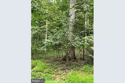 Baumgardner Rd S, Keymar, MD 21757 - Photo 1