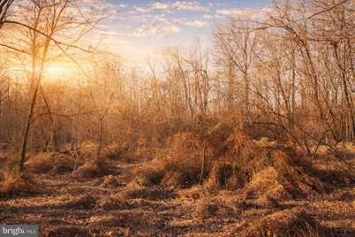 0 Water Tank Road, Manchester, MD 21102 - Photo 11
