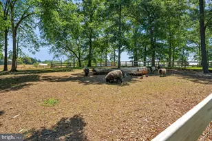 5760 Taneytown Pike, Taneytown, MD 21787 - Photo 65