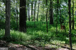 5777 White Rock Rd, Sykesville, MD 21784 - Photo 45