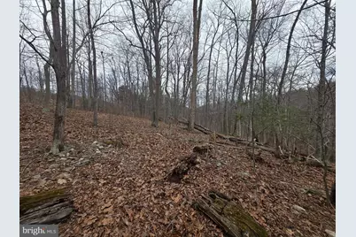 Parcel # 521 London Bridge, Sykesville, MD 21784 - Photo 15