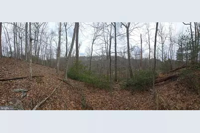Parcel # 521 London Bridge, Sykesville, MD 21784 - Photo 7