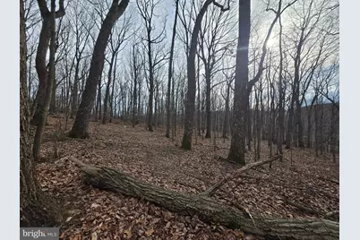 Parcel # 22 Sams Creek Road, New Windsor, MD 21776 - Photo 7