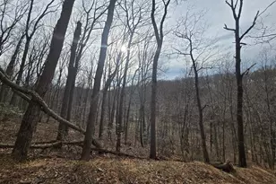 Parcel # 22 Sams Creek Rd, New Windsor, MD 21776 - Photo 1