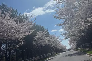 1006 Kingsbridge Terrace, Mount Airy, MD 21771 - Photo 61