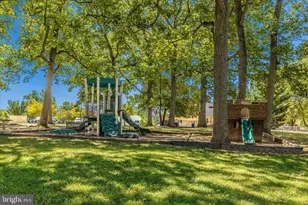 908 Roller Coaster Ct, Mount Airy, MD 21771 - Photo 57