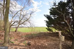 901 Lee Ave, Sykesville, MD 21784 - Photo 17