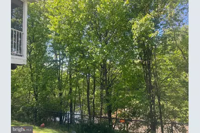 804 Merry Go Round Way, Mount Airy, MD 21771 - Photo 5