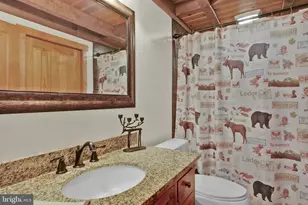 1720 Charles Ray Acres Dr, Sykesville, MD 21784 - Photo 37