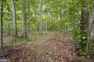 4691 Catalina Dr, Hampstead, MD 21074 - Photo 85