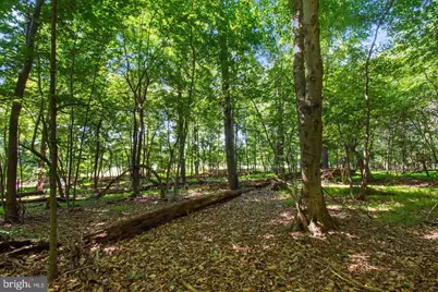 600 Turf Farm Drive, Sykesville, MD 21784 - Photo 29