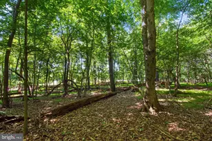 600 Turf Farm Dr, Sykesville, MD 21784 - Photo 29