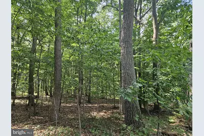 Nicodemus Road, Westminster, MD 21157 - Photo 13