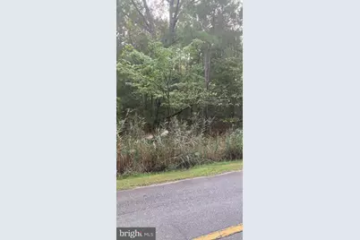 Parsons Drive, Madison, MD 21648 - Photo 9