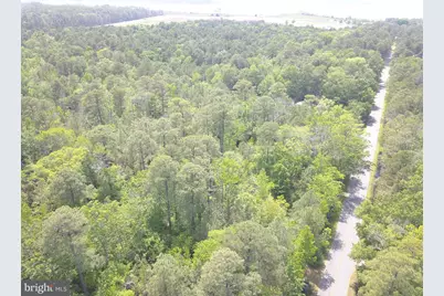 Parsons Drive, Madison, MD 21648 - Photo 15