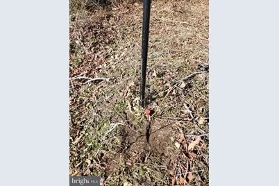 Gravel Branch Road, Hurlock, MD 21643 - Photo 11