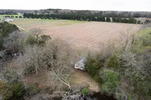 5631 Cedar Grove Rd, East New Market, MD 21631 - Photo 7