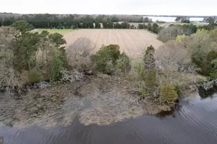 5631 Cedar Grove Rd, East New Market, MD 21631 - Photo 9