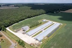 5405 Wesley Rd, Hurlock, MD 21643 - Photo 3