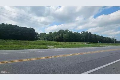 Clarks Canning House, Federalsburg, MD 21632 - Photo 5