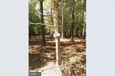 5226 Heron Road, Cambridge, MD 21613 - Photo 9