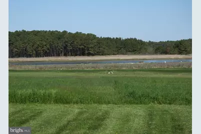 2826 Hoopers Island Road, Church Creek, MD 21622 - Photo 13