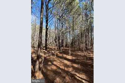 0 Laurie Lane, Woolford, MD 21677 - Photo 25