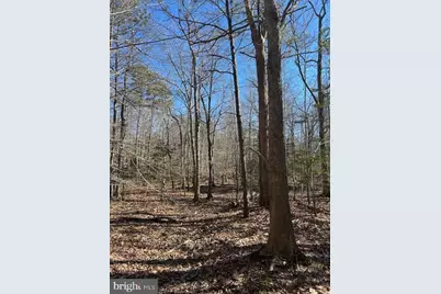 0 Laurie Lane, Woolford, MD 21677 - Photo 23