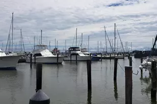 700 Cattail Cv, Cambridge, MD 21613 - Photo 25