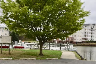 700 Cattail Cv, Cambridge, MD 21613 - Photo 19