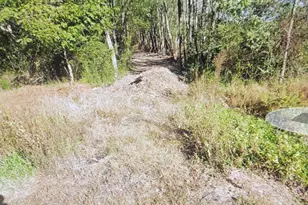 Cordtown Rd, Cambridge, MD 21613 - Photo 1