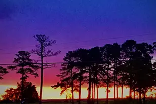 1826 Hoopersville, Fishing Creek, MD 21634 - Photo 113