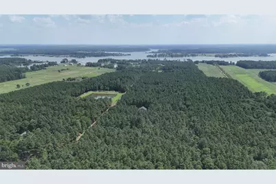 5229 Heron Road, Cambridge, MD 21613 - Photo 7