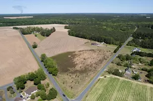 6108 Delaware Line-Reliance, Rhodesdale, MD 21659 - Photo 31