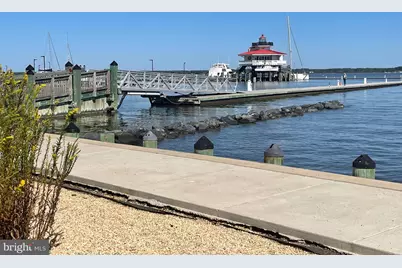 817 Locust Street, Cambridge, MD 21613 - Photo 35