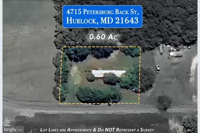 4715 Petersburg Back Street, Hurlock, MD 21643 - Photo 13