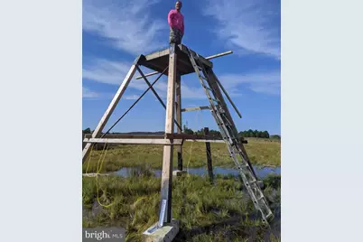 0 Goose Creek Road, Toddville, MD 21672 - Photo 7