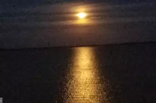 3313 Belfiore Rd, Church Creek, MD 21622 - Photo 13