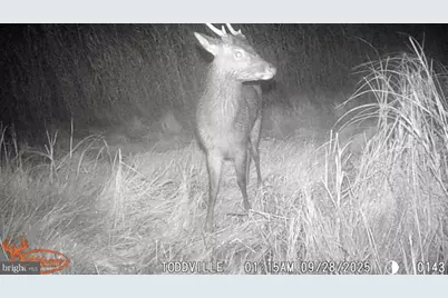 2707 Toddville Road, Toddville, MD 21672 - Photo 35