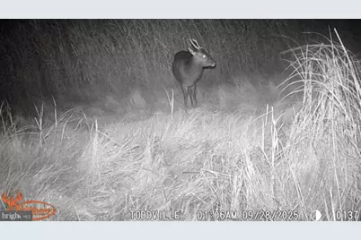 2707 Toddville Road, Toddville, MD 21672 - Photo 43