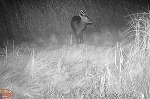 2703 Toddville Rd, Toddville, MD 21672 - Photo 43