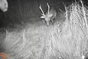 2703 Toddville Rd, Toddville, MD 21672 - Photo 41