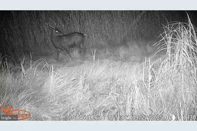 2707 Toddville Road, Toddville, MD 21672 - Photo 37