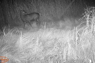 2703 Toddville Rd, Toddville, MD 21672 - Photo 37