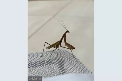 2212 Winterberry Lane #I, Cambridge, MD 21613 - Photo 11